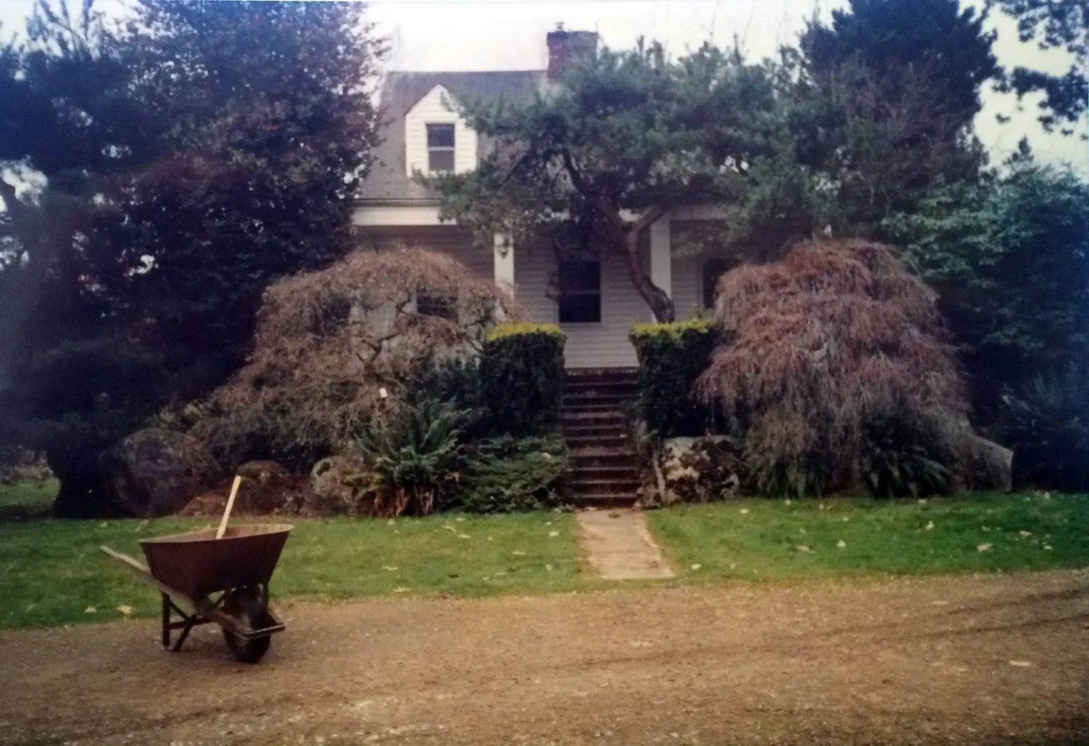 pacific northwest landscaping in front of older home in Seattle neighborhood